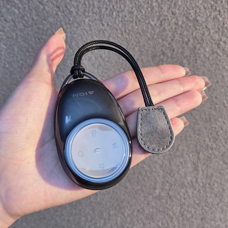 Para Capa De Chave Aian RT : Adequada Novo GAC AION V , Tyrannosaurus Rex , E-Com Fivela Transparente Masculina