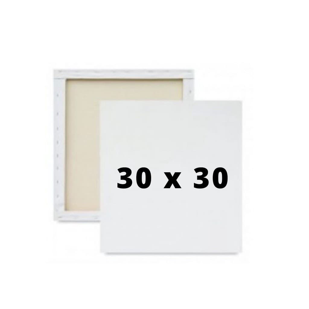 Tela Para Pintura 30x30 Artística Profissional Escolas