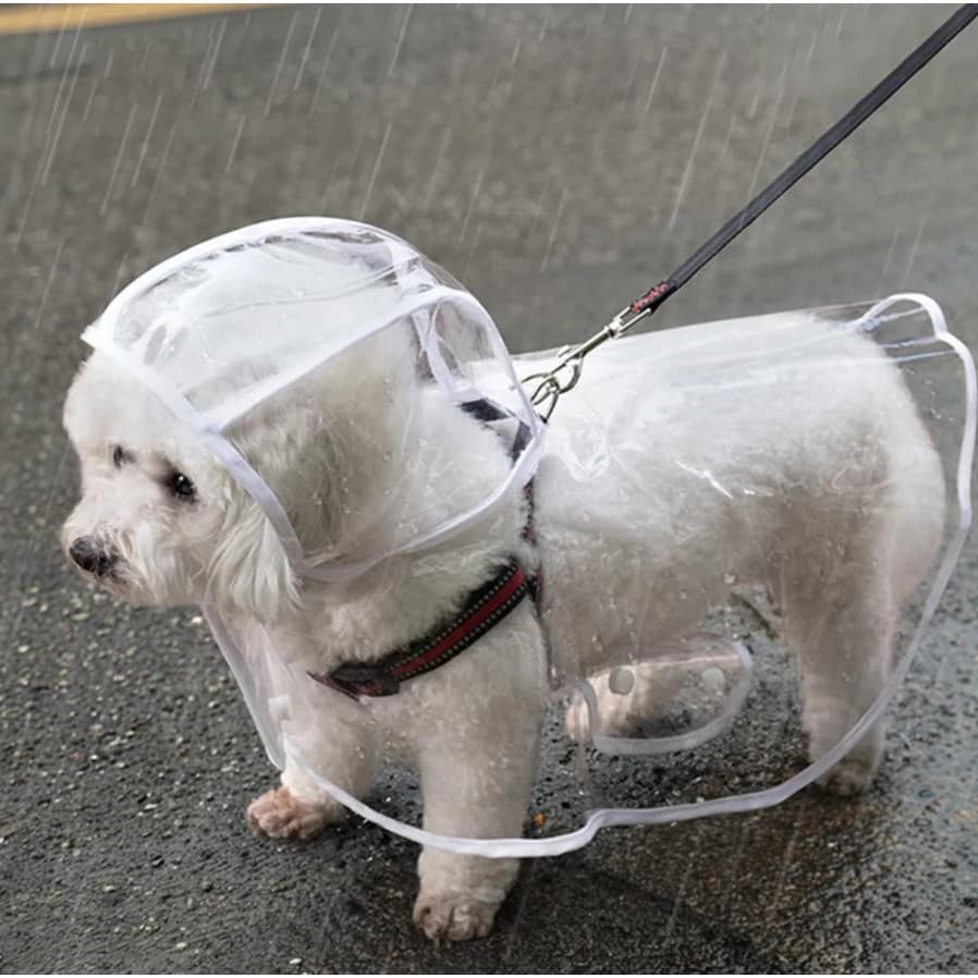 Capa De Chuva Para Cães Transparente Impermeável / Jaqueta Com Capuz Para Animal De Estimação