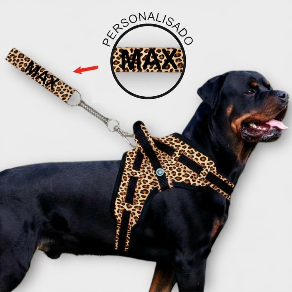 Coleira Personalizada para Cachorro de Porte Grande ou Médio com Regulagem