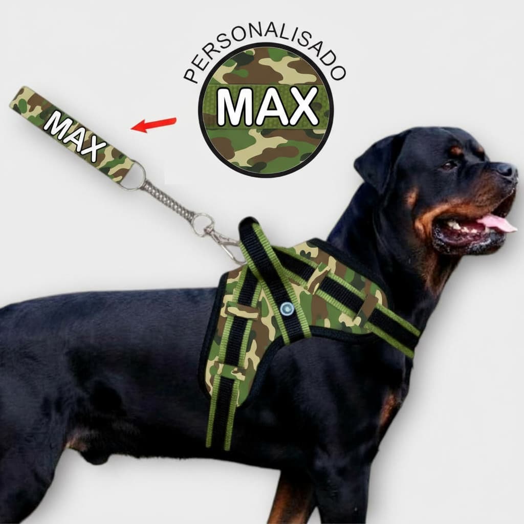 COLEIRA PERSONALIZADA REFORÇADA COM GUIA PARA CÃES DE PORTE GRANDE E MÉDIO