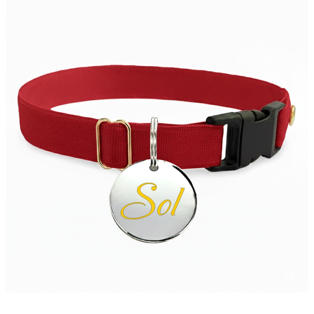 Coleira para Gatos com Plaqueta de Identificação Nome e Telefone