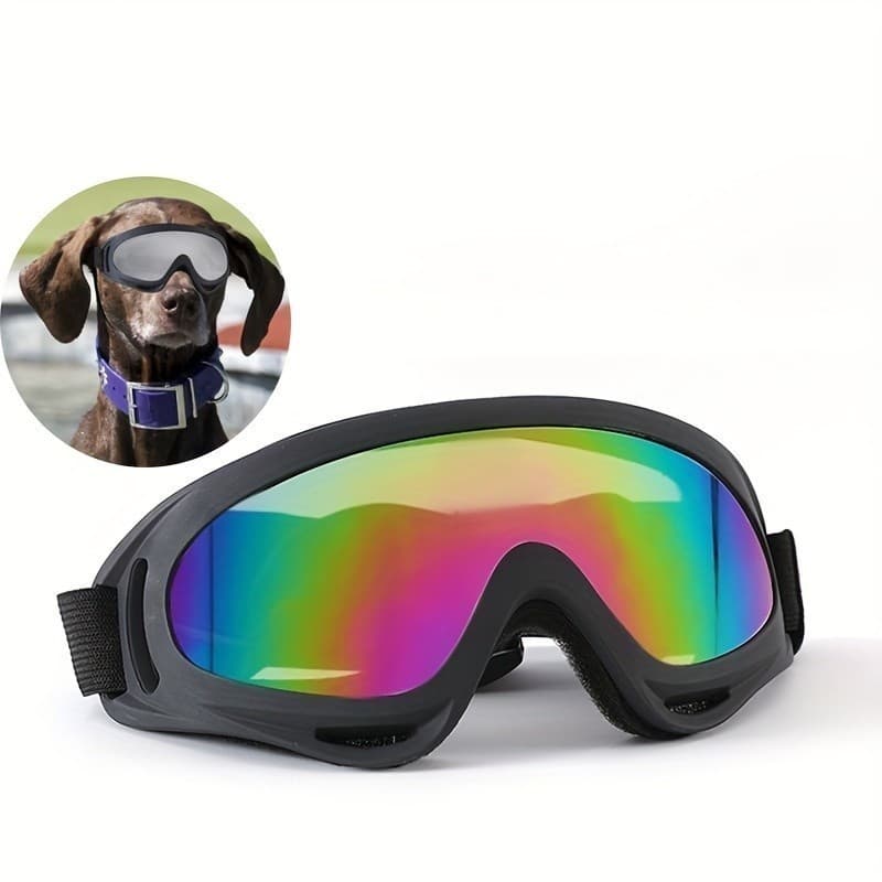 Óculos de Sol para Cães à Prova de Vento para Proteção dos Olhos, Óculos para Esqui e Passeios, Acessórios para Animais 