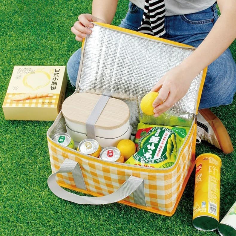 Cesta Térmica Bolsa Piquenique Dobrável Cooler Praia Lanche Camping Picnic Grande 35*20*20cm