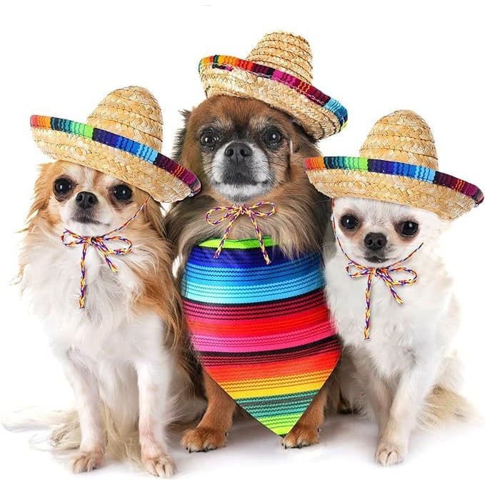 Engraçado Mexicano Sombrero Boné Pet Mini Chapéu De Palha Cão & Gato Pequeno Roupas Para Cães Bonés Festa De Halloween