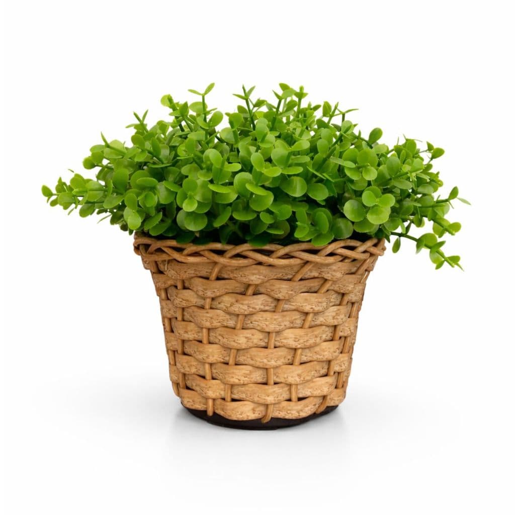 Arranjo Vaso Vime Folhagem Eucalipto Artificial Pequenos