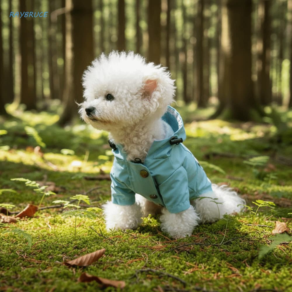 Capa De Chuva Com Capuz Para Cachorro RAYBRUCE , Roupas Impermeáveis À Prova De Vento De Duas Pernas Cães , Casaco Ajust