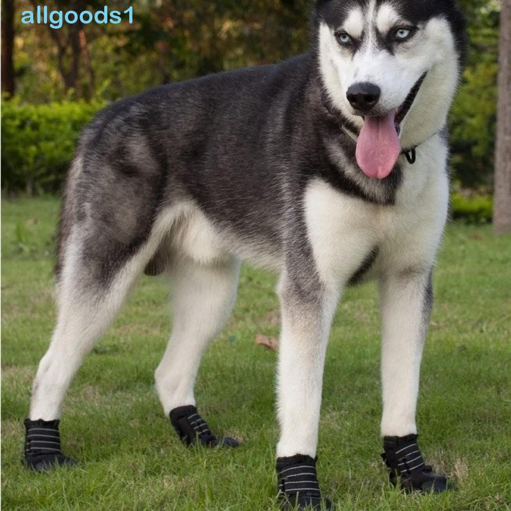 Sapatos Antiderrapantes Para Cães ALLGOODS , Botas Impermeáveis Confortáveis E Resistentes Ao Desgaste , Protetor Ajustá