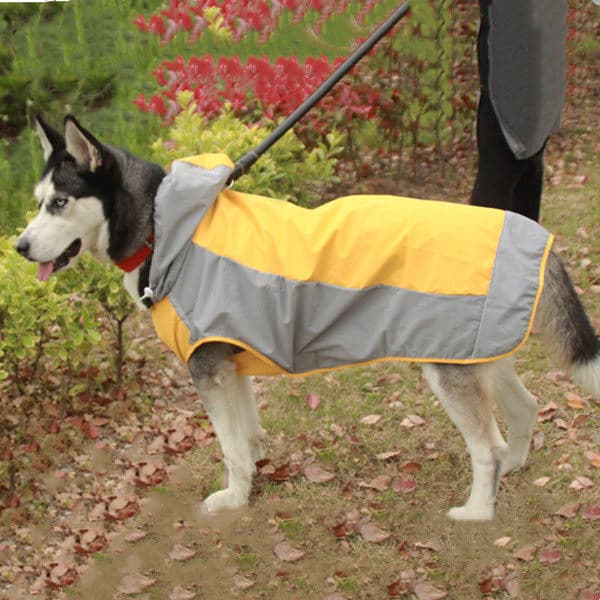 Pet ao ar livre cão poncho médio grande cão impermeável capa de chuva Husky Golden Retriever Labrador Akita inu Shiba in