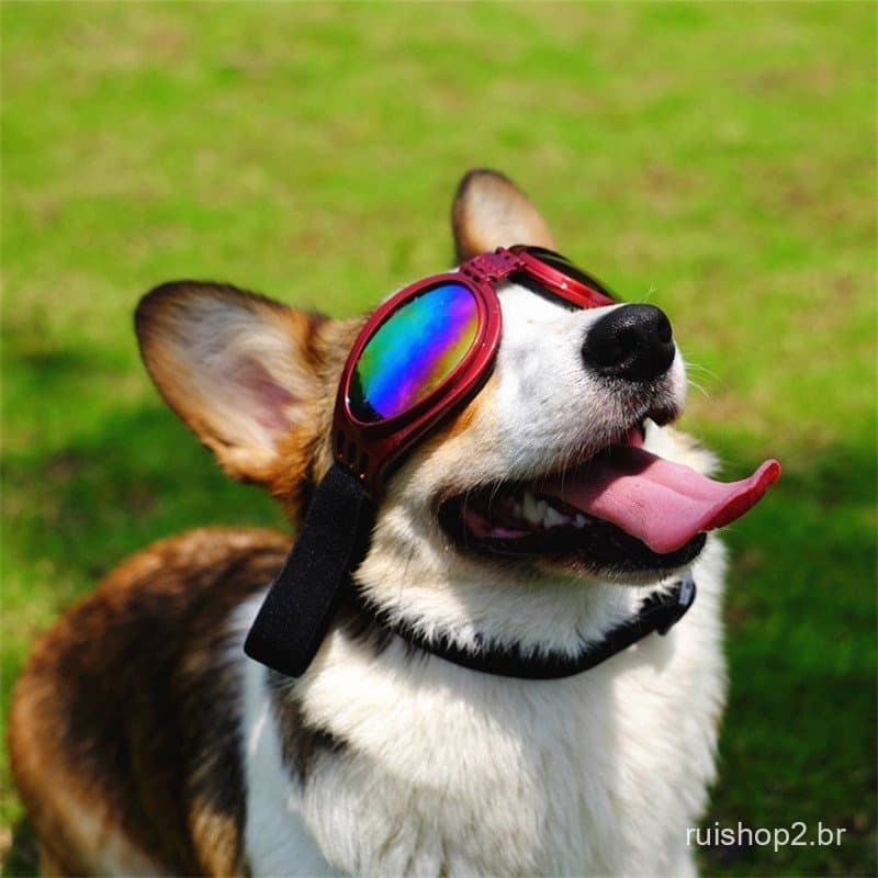 Legal Pet Óculos De Sol Para Cães Acolchoados Ajustáveis Adequado Mais De 6 kg Acessórios Ao Ar Livre Viajar Sporting