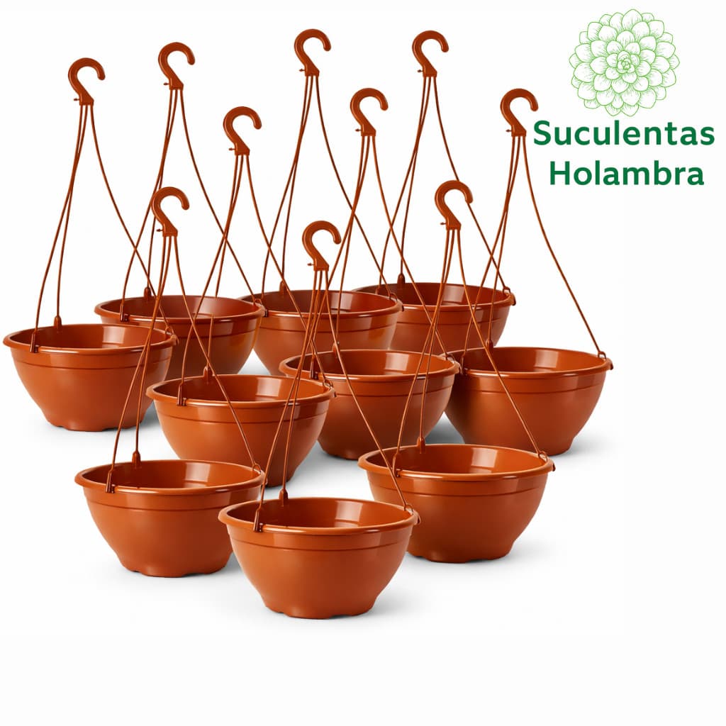 Kit 10 Vasos Cuia 21 Com haste 43 cm - REFORÇADO Cor Terracota Marrom  -  p/ Rosa do Deserto, Samambaia, Suculentas