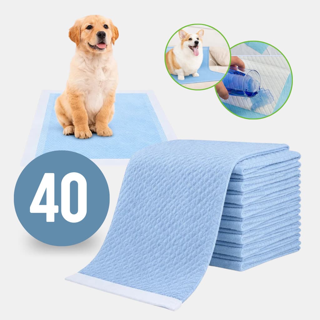 Tapete Descartável Higiênico Para Pet 60x60cm Cães Gatos 40un Fraldas