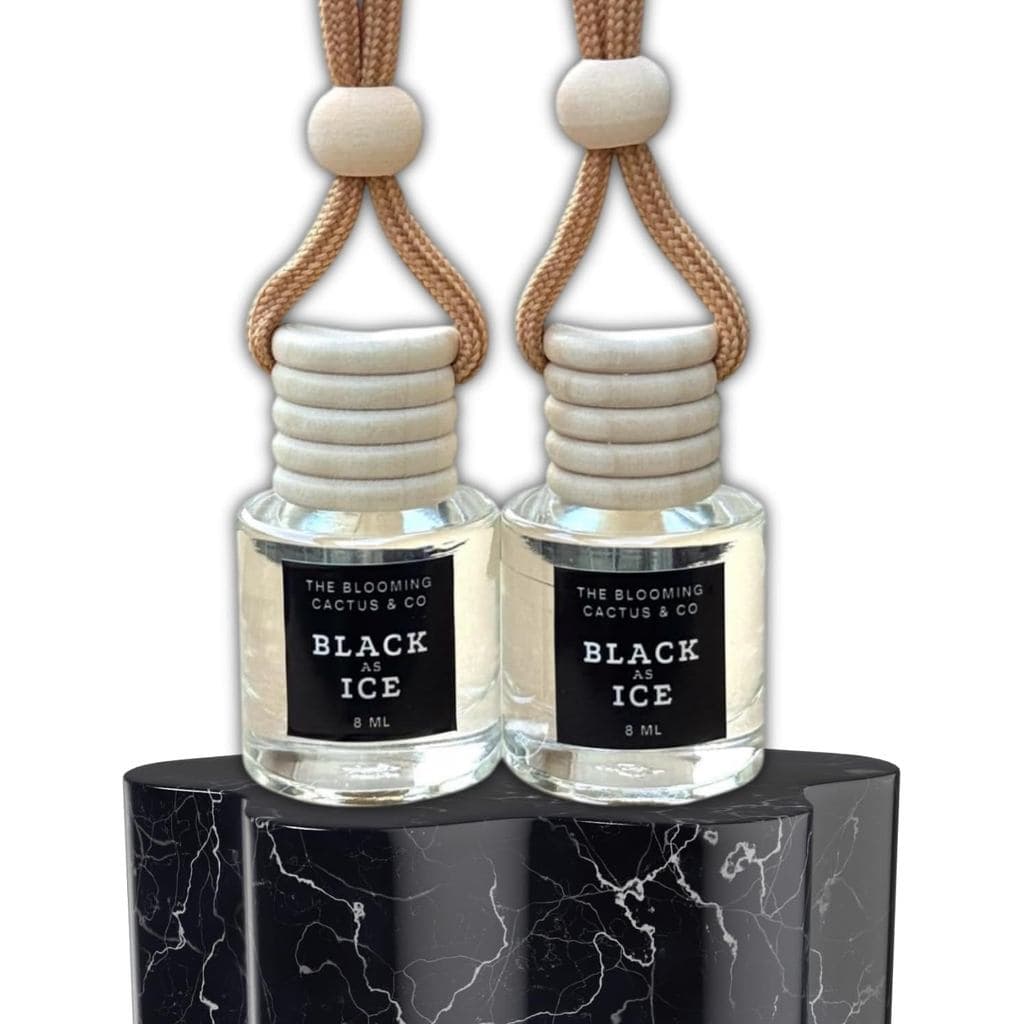 Óleo de Fragrância Suspensa para Carro, 2 Peças, Aromatizador de Ar para Carro, Difusor de Óleos Essenciais para Carros,