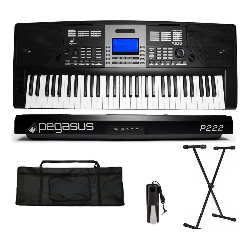 Teclado Sintetizador Pegasus P222 + SUPORTE PEDAL E CAPA KIT COMPLETO