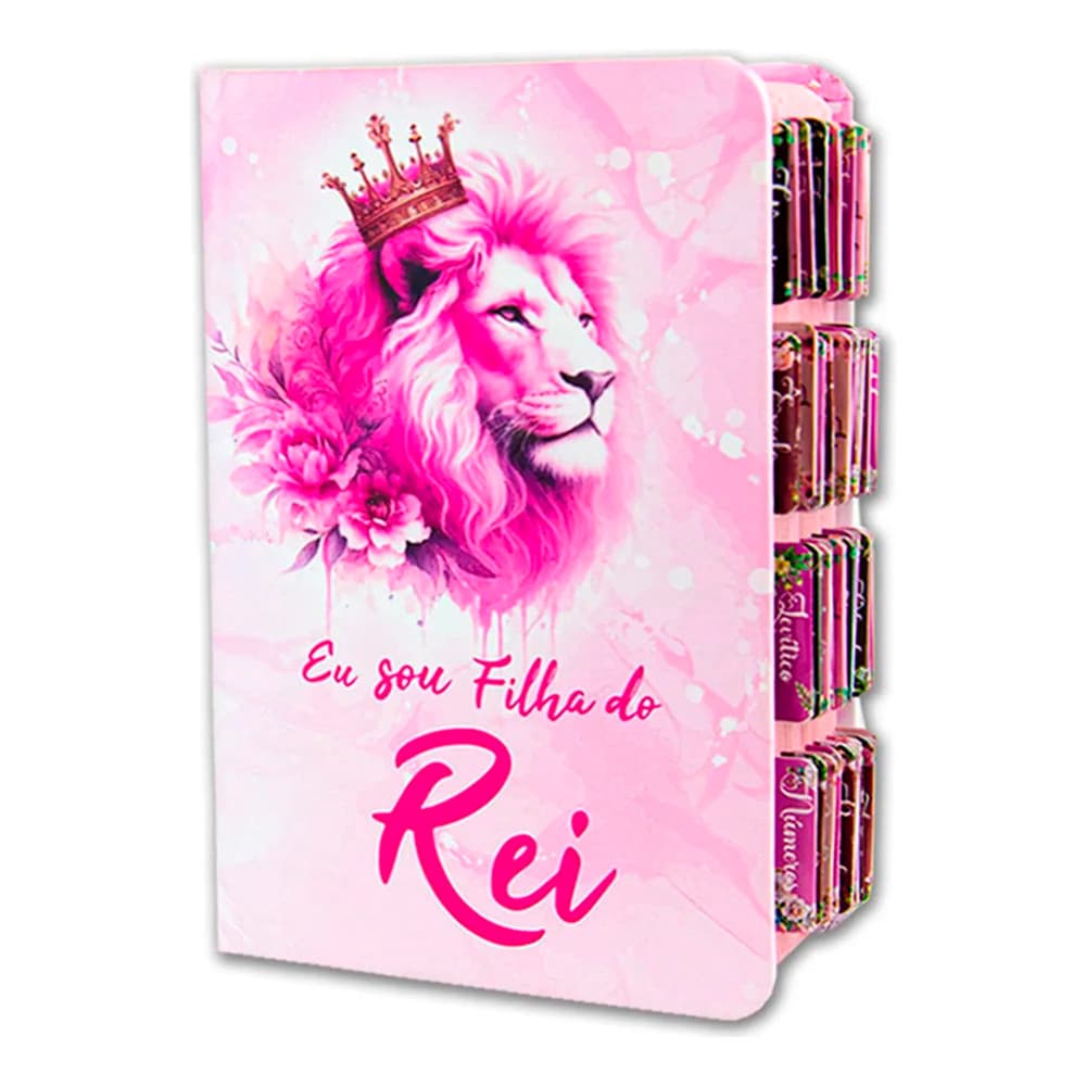 Bíblia Sagrada Evangélica Com Índice Abas Adesivas Feminina  Filha do rei