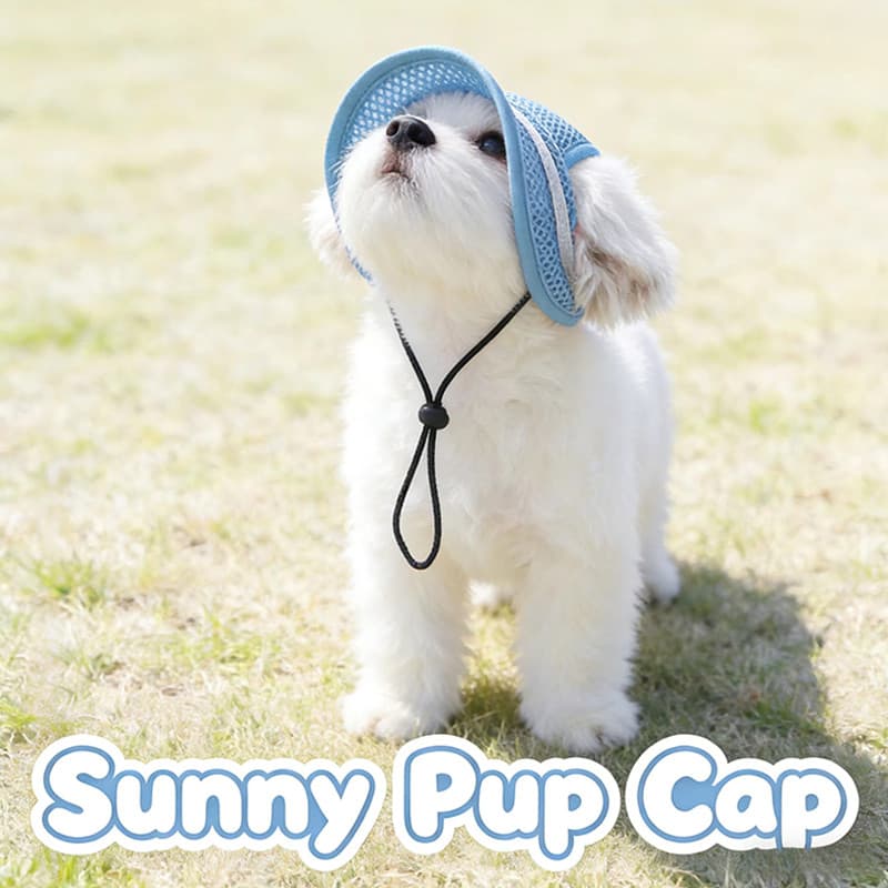 1pc Multi Tamanho Animal De Estimação Chapéu Guarda-Sol Respirável Gato Arco Princesa Com Vazamento Orelha Cachorro