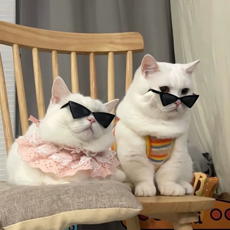 7CM Pet boneca óculos de sol gato influenciador legal na moda cão posando acessórios personalizados