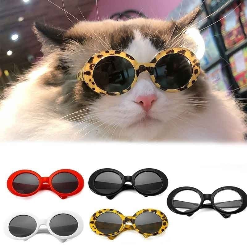 Óculos De Sol Para Carro , Animais De Estimação , Cães Pequenos , Gatos , Fotografia , Acessórios