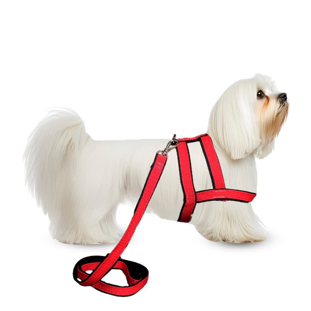 Conjunto Peitoral Com Guia Nylon Duplo Para Cachorro Cão Pequeno Porte Resistente