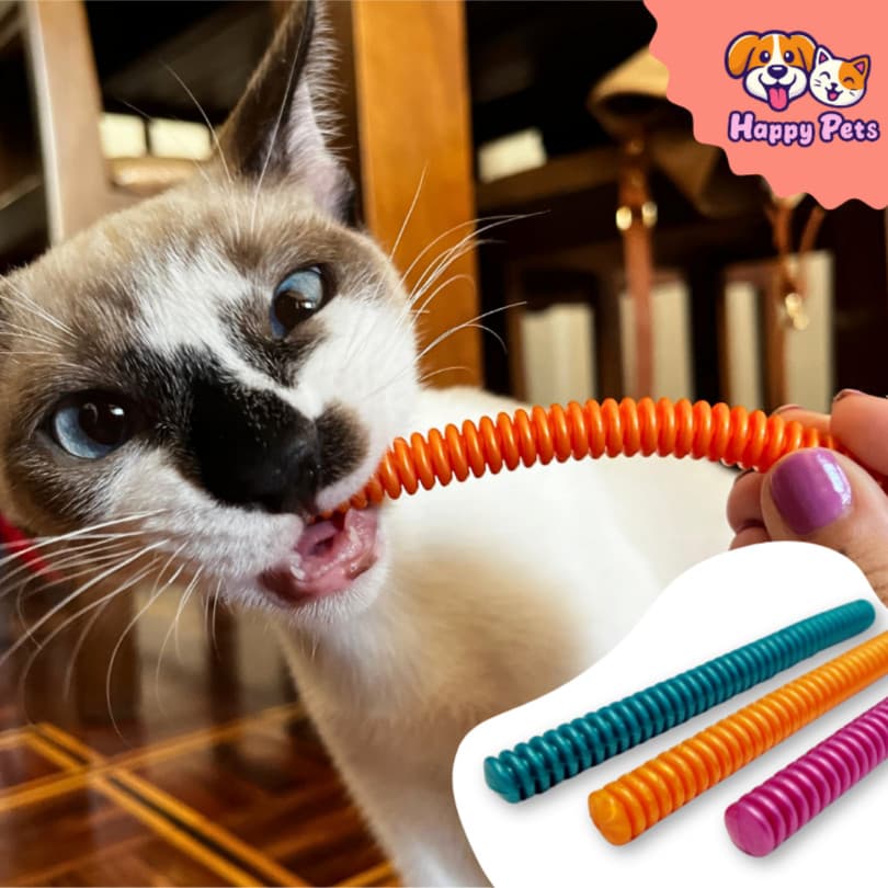 Brinquedo da Pet Games Com 3 Mordedores Interativos Cat Chiclete Para Gato Seguro E Saudável