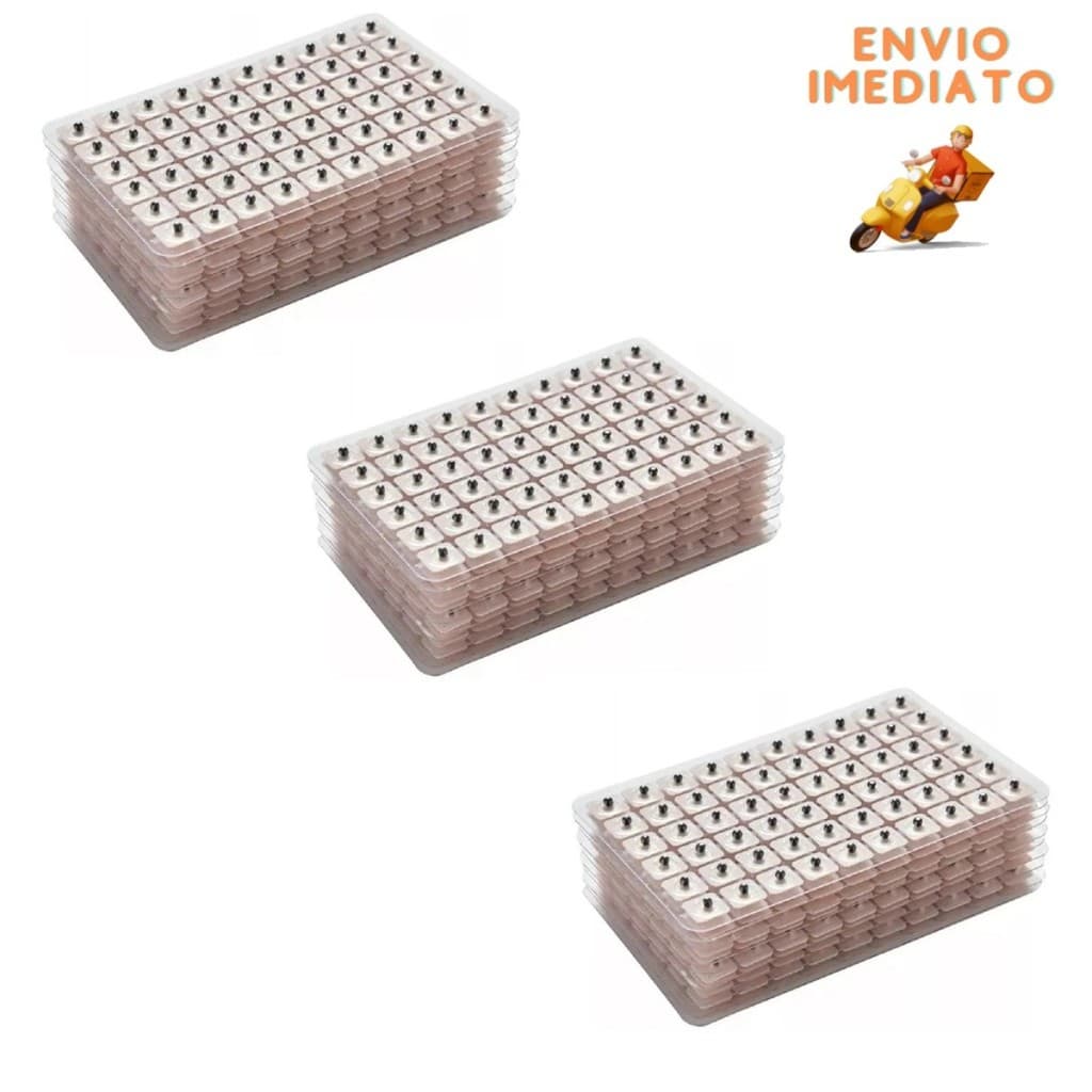 1800 Sementes Vaccaria Auriculoterapia Acupuntura Auricular