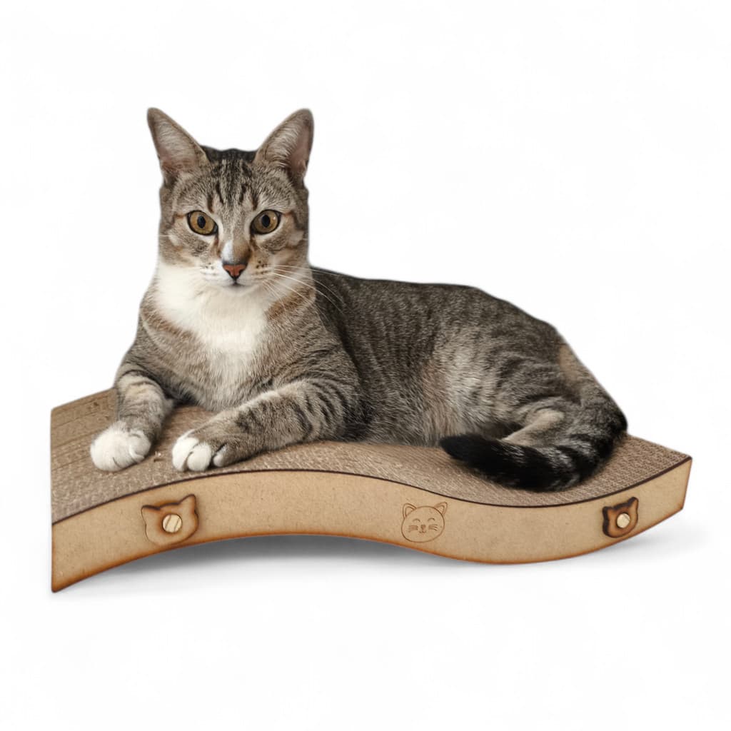 Arranhador Ergonômico para Gatos Resistente Bonito e Confortável para seu Pet