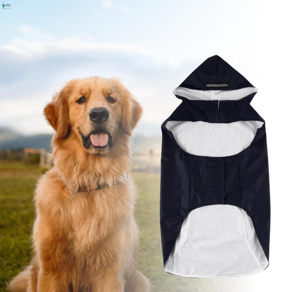 Capa De Chuva Com Capuz Para Cachorro Reflexiva Confortável De Usar Resistente À Água Cães Pequenos , Médios E Grandes