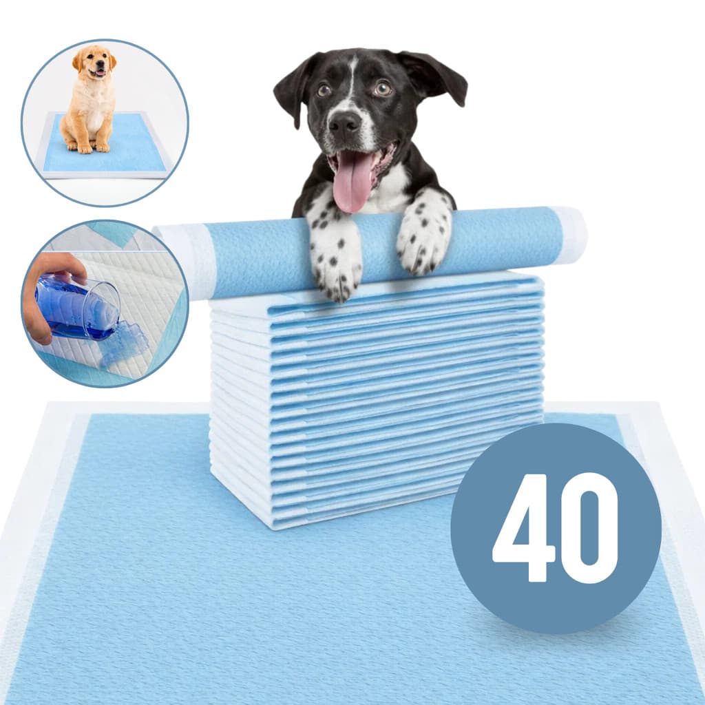Tapete Descartável Higiênico Para Pet Cães Gatos 40 Fraldas 60x60 cm