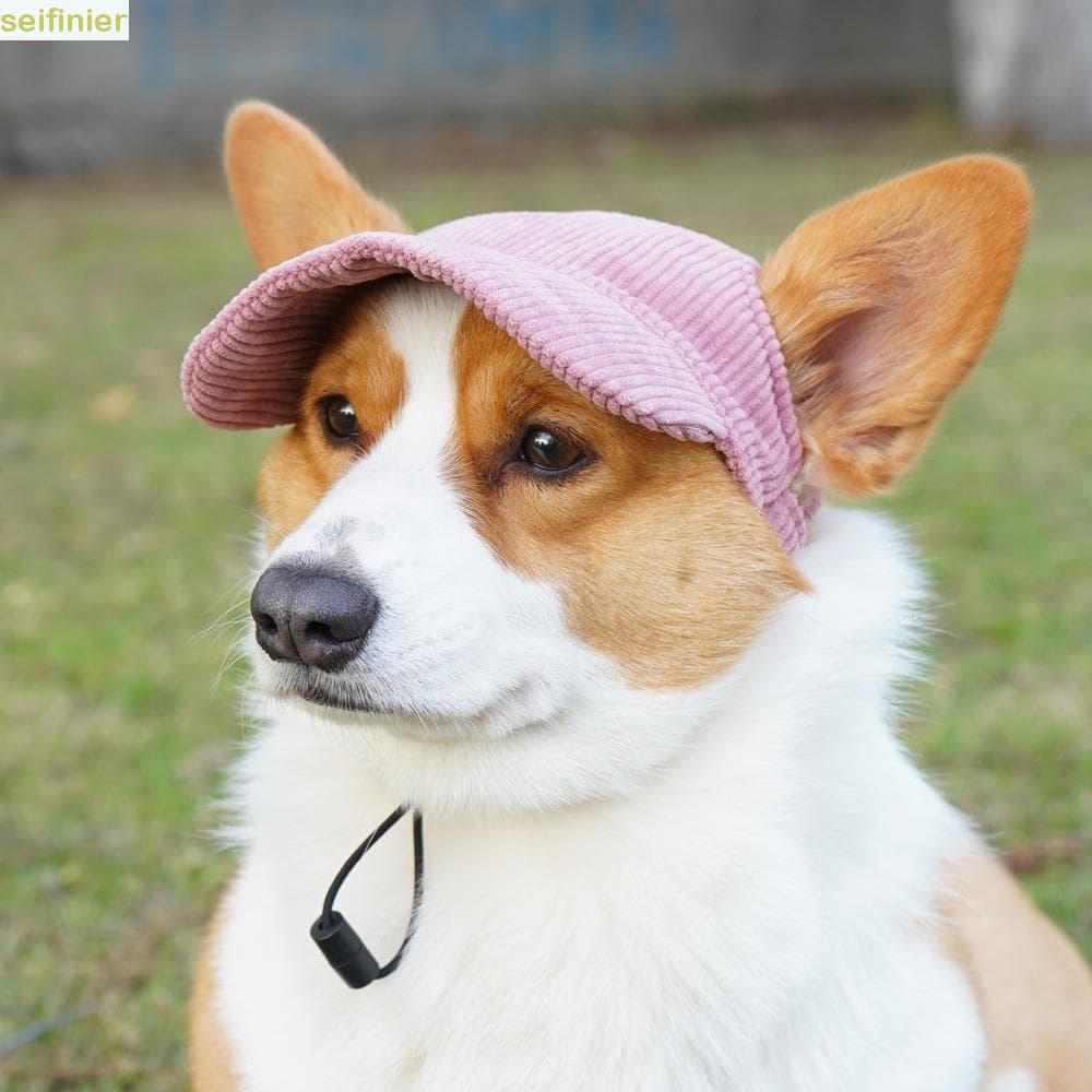 Boné De Beisebol Para Animais De Estimação SEIFINIER , Ajustável Com Furo Orelha , Chapéu De Sol Cachorro , Corda De Que