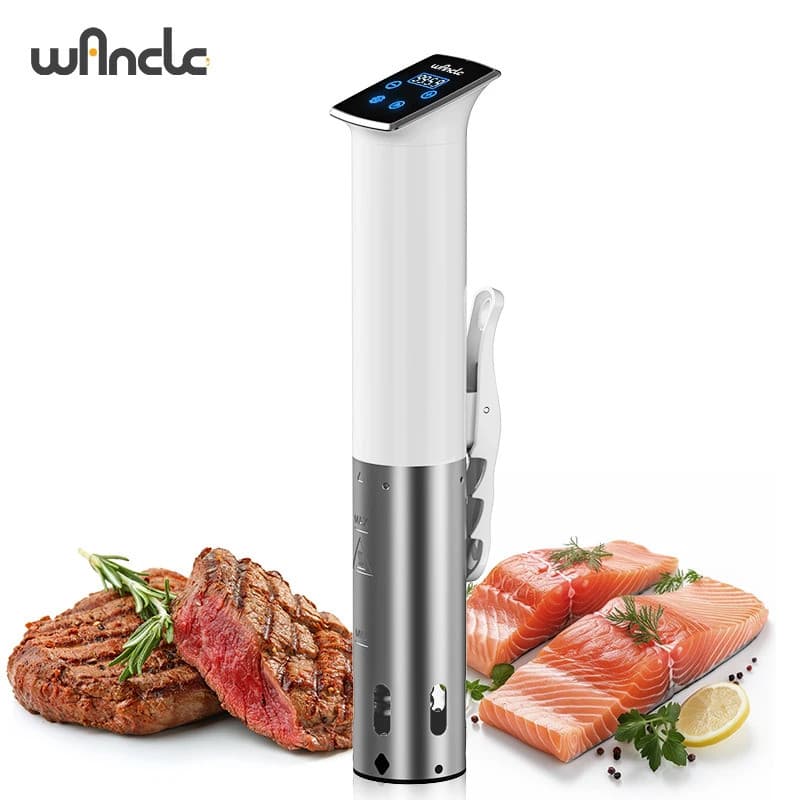 1100W À Prova D'água Vácuo Sous Vide Fogão Circulador De Imersão Cozinha Precisa Com Display Digital LED Lento