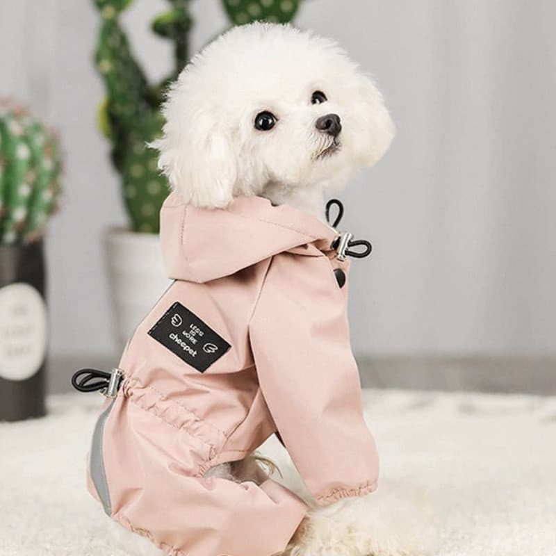 Capa de chuva para cachorro Teddy Bichon Schnauzer Roupas para cães pequenos de quatro patas Capa de chuva com tudo incl