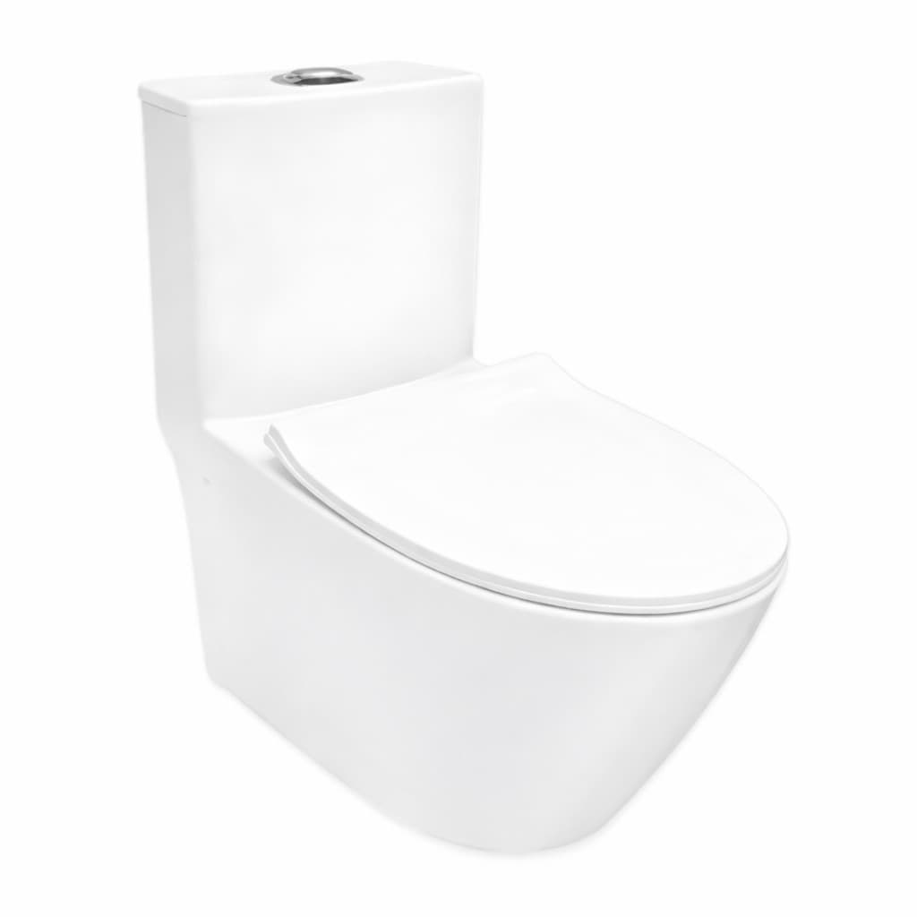 Vaso Sanitário Privada Monobloco Caixa Acoplada Cerâmica Branco Esmaltado