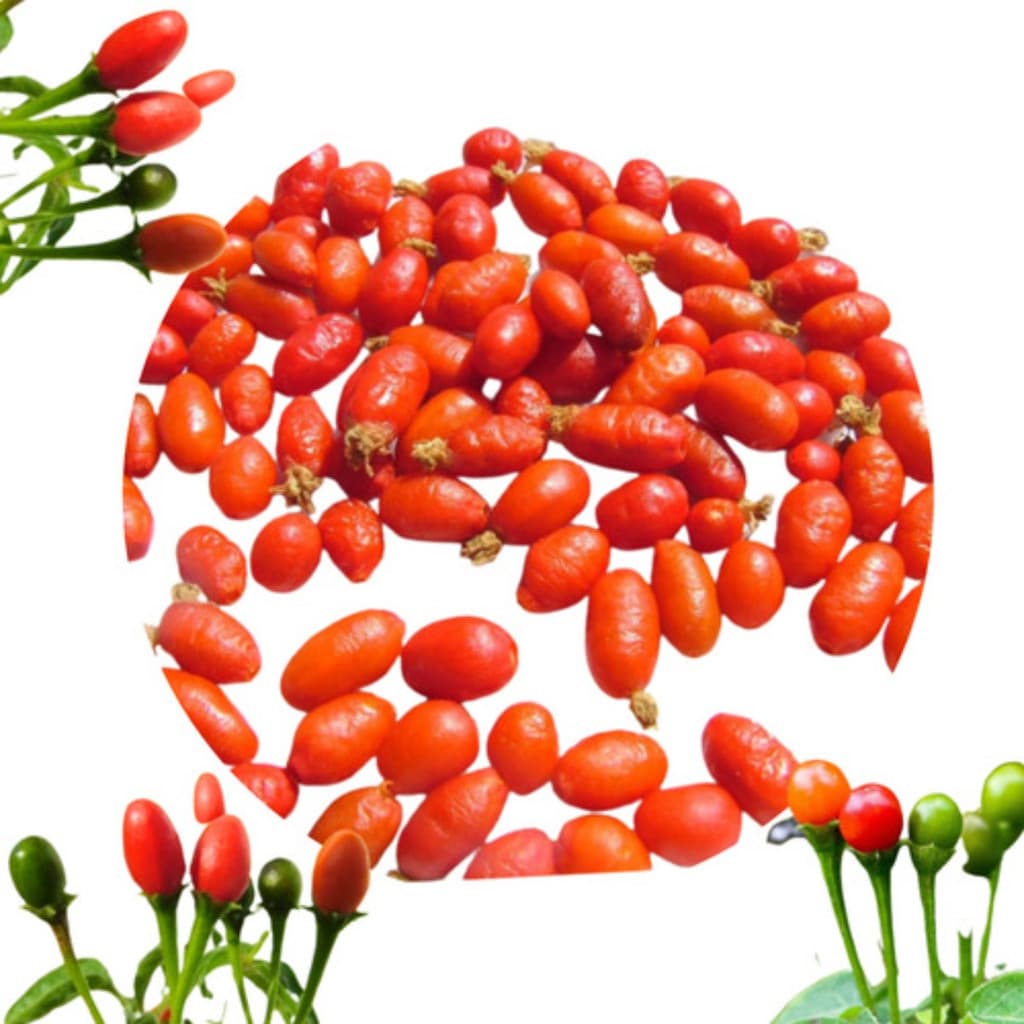 Alta germinação Pimenta Comari Cumari Passarinho A Verdadeira 50 Sementes