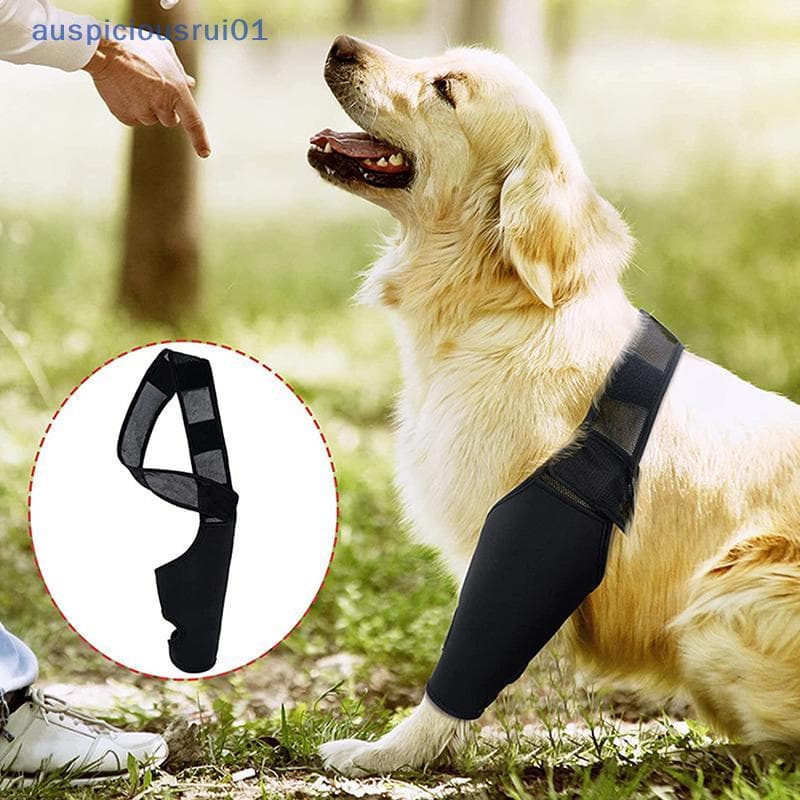 Joelheiras Para Cães , Recuperação De Lesões , Suporte Fixo , Protetor Animais De Estimação , Alívio Da Dor , Cobertura 
