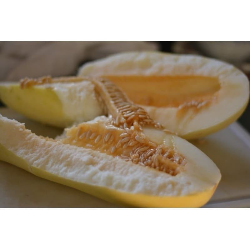 100 Sementes De Melao De Neve Doce do Sertão ENVIO RÁPIDO III