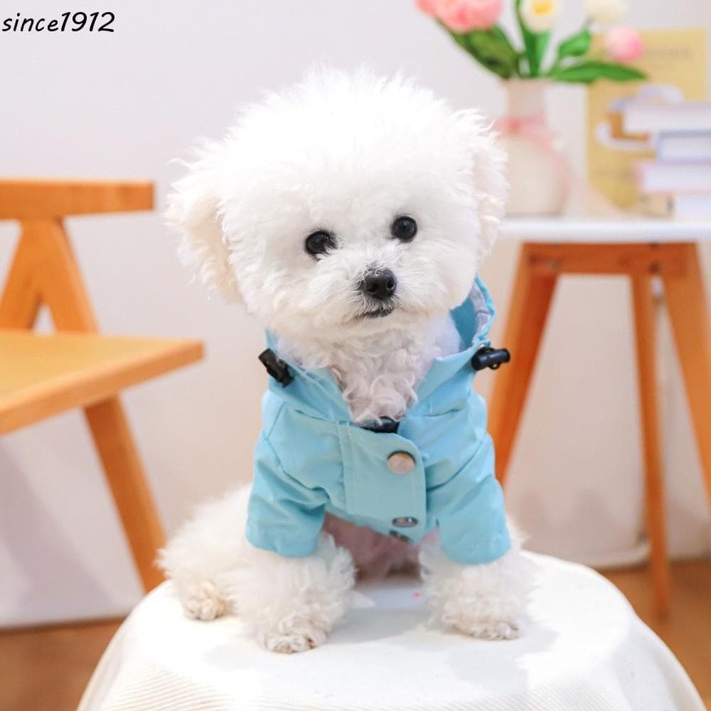 Capa De Chuva Com Capuz Para Cachorro SINCE , Roupas Impermeáveis À Prova De Vento De Duas Pernas Cães , Casaco Externo 