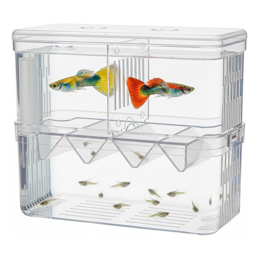 Criadeira Maternidade Para Peixes Com Separador Alevinos guppy Incubadora Aquario Flutuante Acrilico