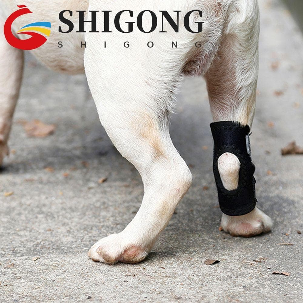 SHIGONG Joelheiras Para Animais De Estimação , Bandagem Preta De Recuperação De Articulações Cães Pequenos , Médios E Gr