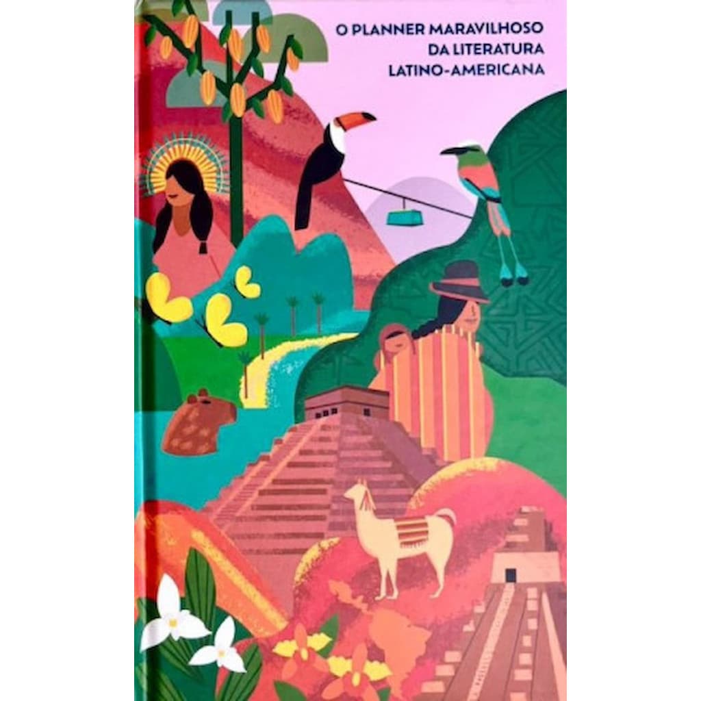 Livro O Planner Maravilhoso Da Liter - Debora Sander