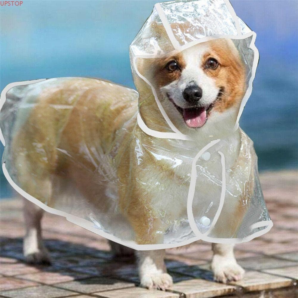 Capa De Chuva Para Cachorro UPSTOP Com Capuz À Prova D'água Transparente Animais De Estimação