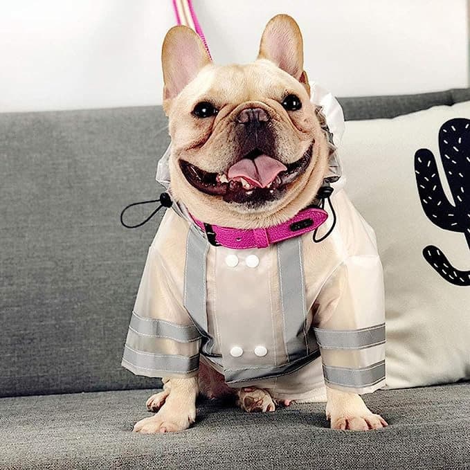 Capa de chuva reflexiva para animais de estimação, capa de chuva para cães, Poncho Super à prova d'água, suprimentos par