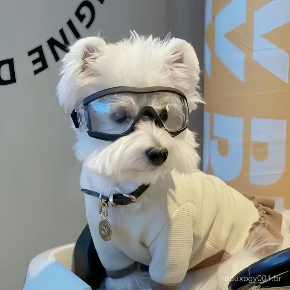 Óculos De Cor Transparente Para Cães De Estimação , Protetor Solar À Prova D'água De Vento , Resistente A UV , Grandes