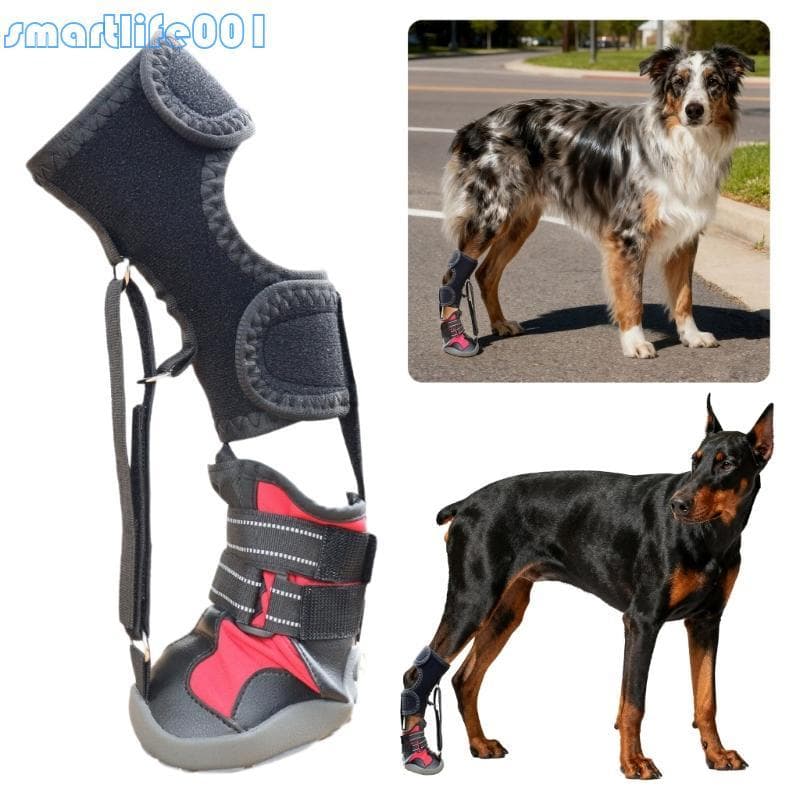 S * Cinta Para Pés Carretel Cães Problemas, Sapato Corretivo