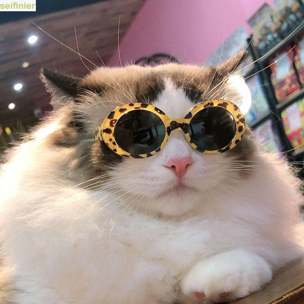 SEIFINIER Óculos Para Gatos Moda Legal Animais De Estimação Acessórios Produtos Pequenos Decoração De Festa
