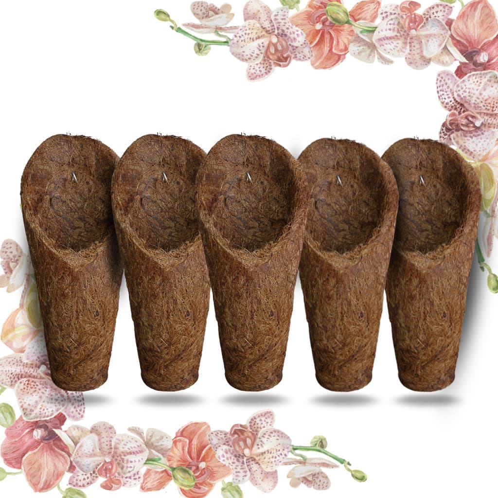Kit 5 Vaso Cachepot Para Orquídeas Fibra de Coco Modelo Concha Tamanho M (Médio) - (5 unidades)