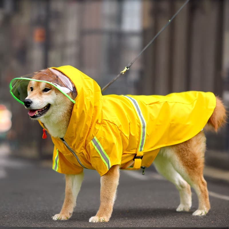 Capa de chuva para cães Golden Retriever Labra Pastor poligonal Cão de tamanho médio Cão de estimação de tamanho grande