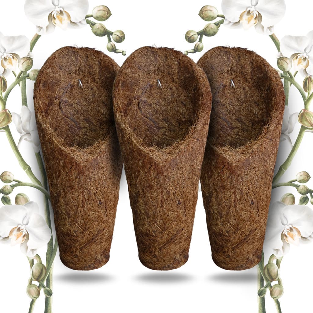 Kit 3 Vaso Cachepot Para Orquídeas Fibra de Coco Modelo Concha Tamanho M (Médio) - (3 unidades)