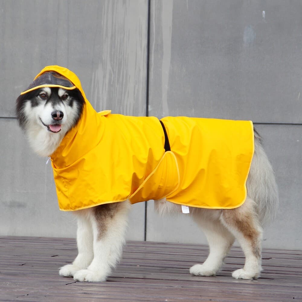 Capa de chuva para cachorro Poncho para animais de estimação com tudo incluído Bellyband Corgi Cão médio grande Husky Go