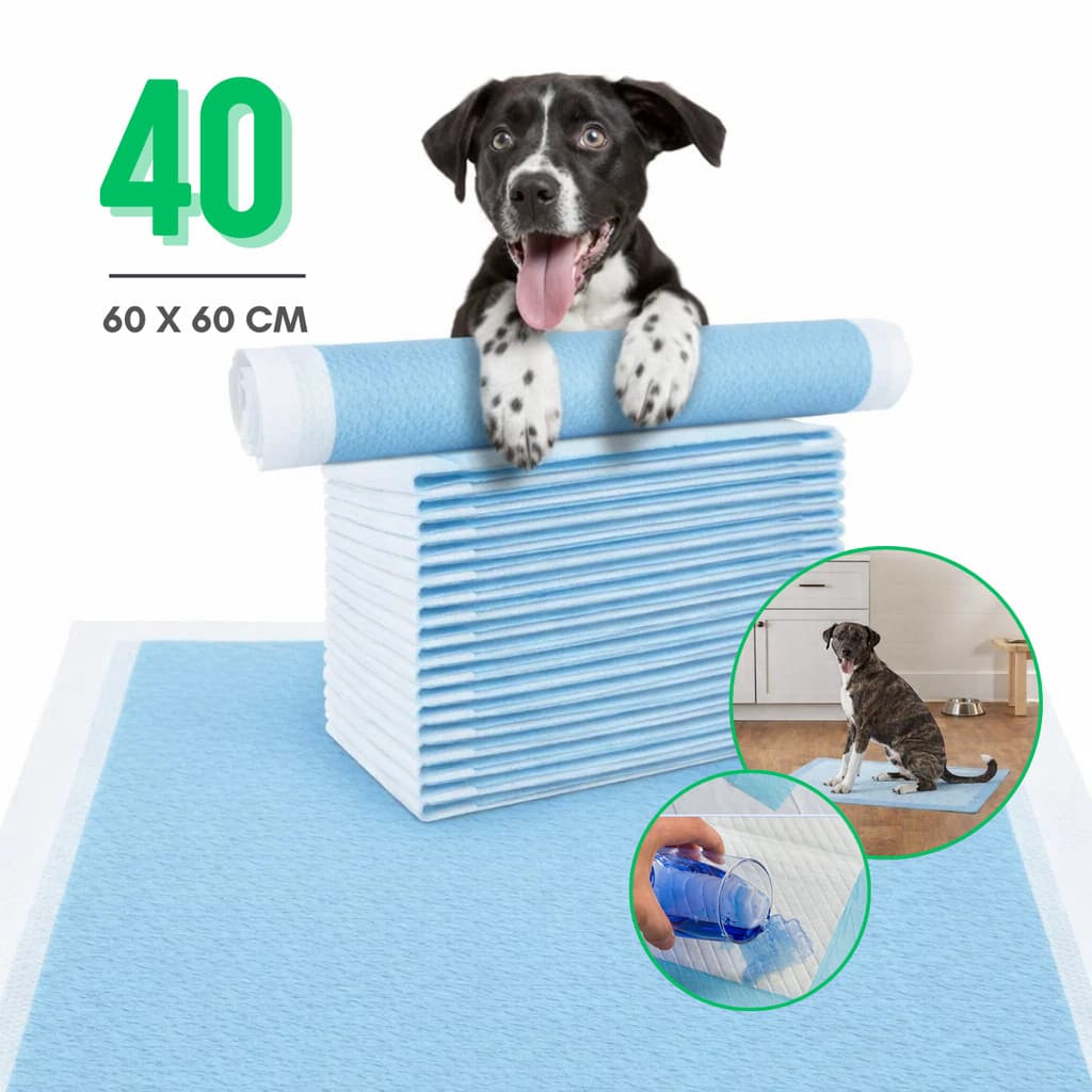 Tapete Higiênico 60x60 cm Fralda Descartável Para Cães Pet Kit 40un