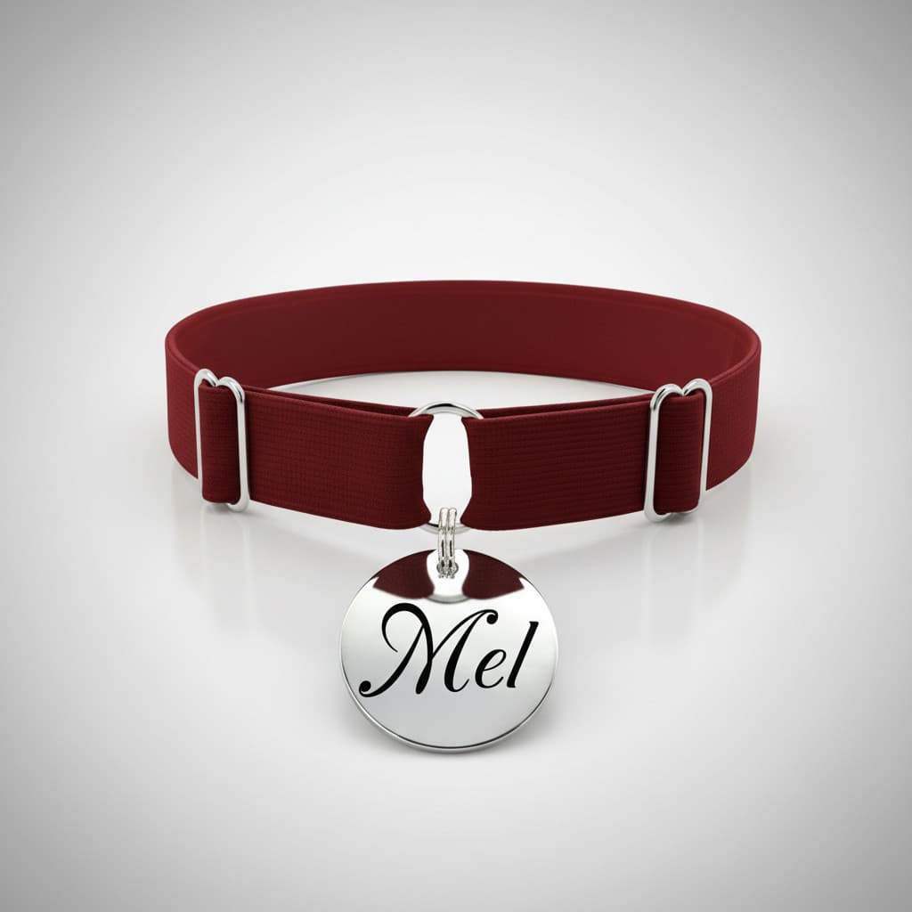 Coleira Elástica Nome e Telefone Para Cães e Gatos Placa Aço Inox